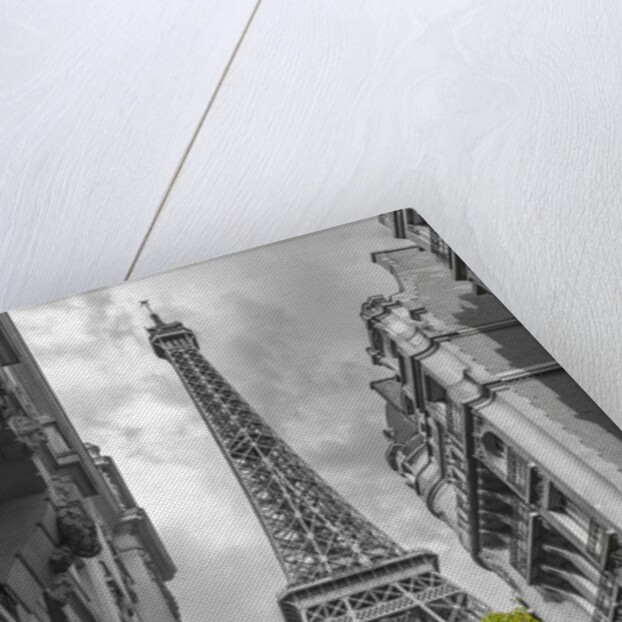 Eiffel Tower, Paris by Assaf Frank